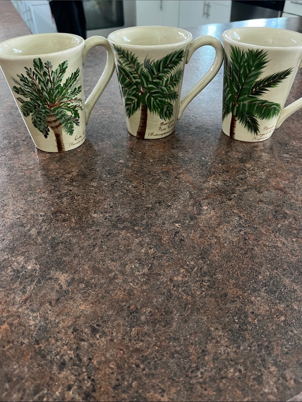 3 Florida marketplace Palm Island Cream palm tree mugs vintage tropical